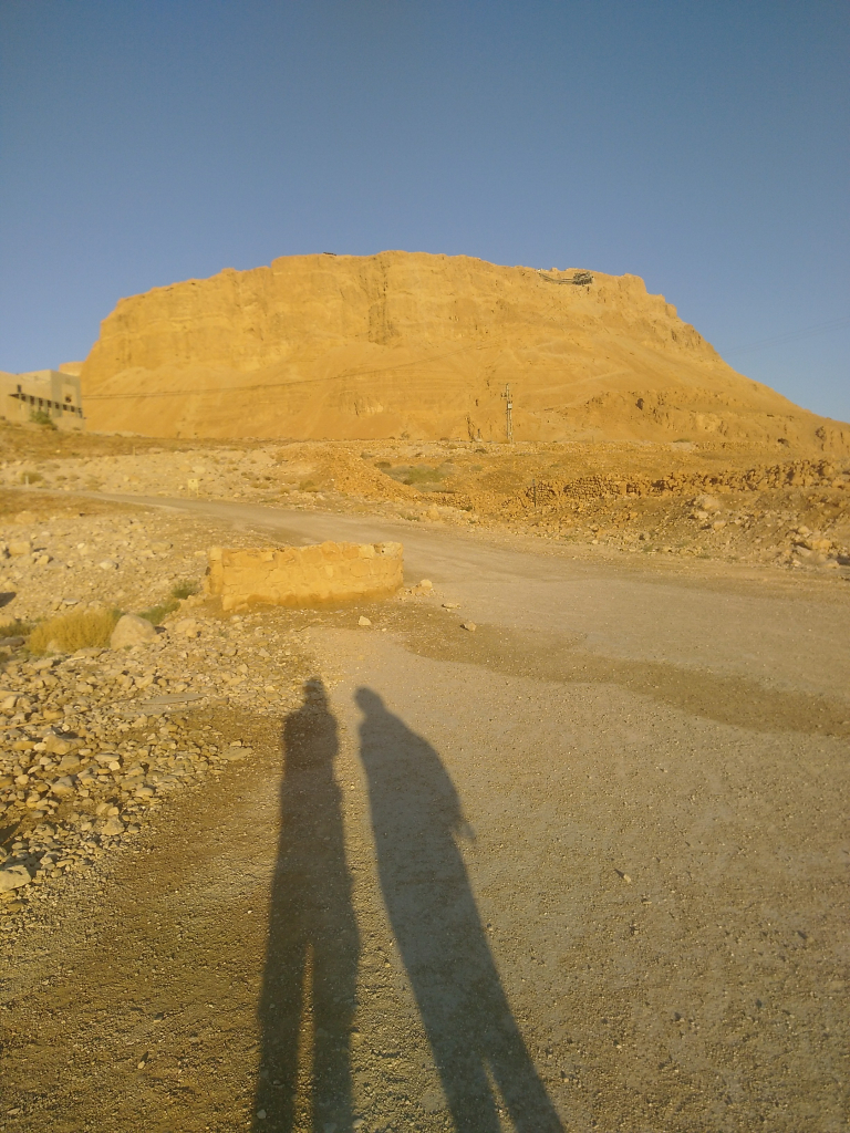 Bild/Foto