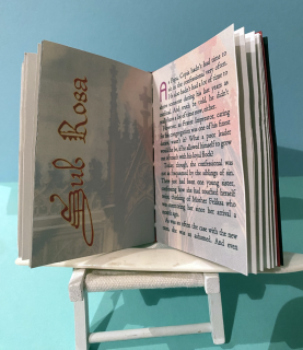 photo/044b968f-70e3-44d7-bee3-3508f6a4944f-3