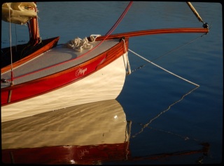 photo/0876397c-579b-43ae-95cc-f6893b8c5ecb-3