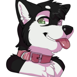 CosmicHusky