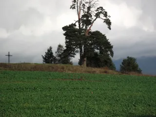 photo/0f3f17e6-d302-446b-8a05-b13f87630a93-3