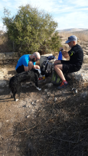 Foto ansehen IMG-20191130-WA0000.jpg