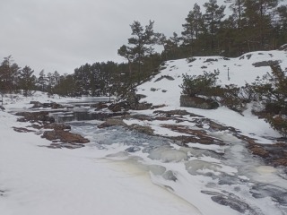 photo/11ec431d-d58e-4213-a34f-ffd8f0cbf926-3