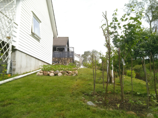 photo/124638ab-07d6-4274-9086-94e2cf5c0b11-3