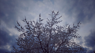 photo/12b5deea-0a17-49a1-a1c9-21ca0f4cd31b-3