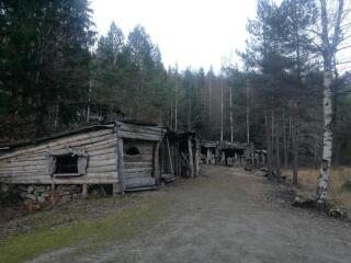 Foto ansehen signal-2024-12-03-18-01-11-969-3.jpg