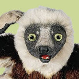 Zoboomafoo