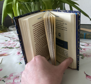 photo/1af7a196-739e-4ec7-b393-eb9c01463567-3