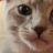 mj