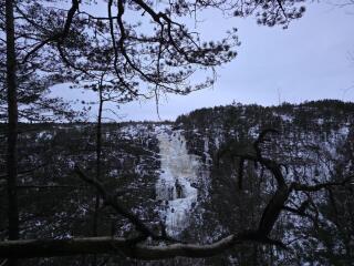 photo/1e1f9c40-f624-4c17-9c85-16a4aa12bb0c-3