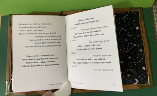 photo/1f030d36-9cc8-498b-a172-5c7b0ca4f809-3