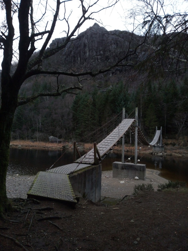 Bild/Foto