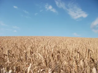 photo/2a44723c-2830-413d-831c-a625f05b70cc-3