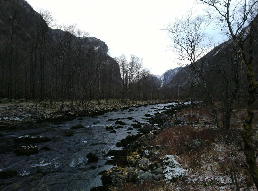 Bild/Foto