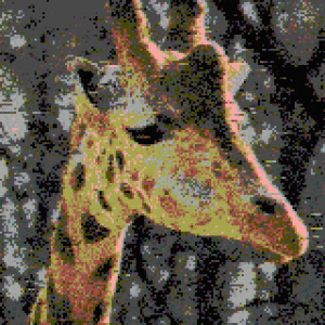 pecet 🦒