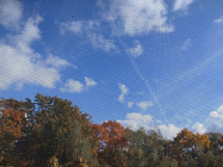 photo/2e87c0c4-b99b-4629-9360-30194a7c35e3-3