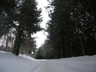 photo/2ed1d1d6-5212-4190-b286-887c82c58c02-3