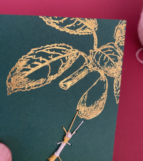 photo/2f2205f3-da1b-48d9-b9db-c2a7e394fe4f-3