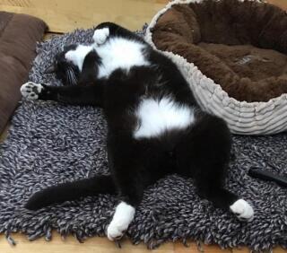 photo/2fdeed91-a4a8-4a72-88c0-afc0ece33299-3