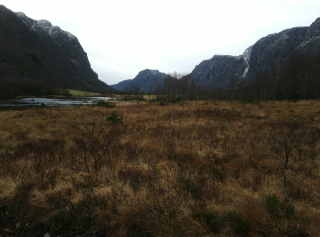 photo/32e3d1b6-dd15-4410-ac61-dd5c397760ad-3