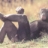 Chill+Bonobo
