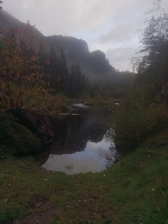 IMG_20260919_083557.jpg