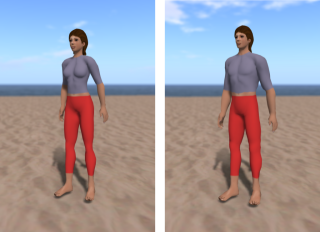 Ruth and Roth, the OpenSim standard avatars