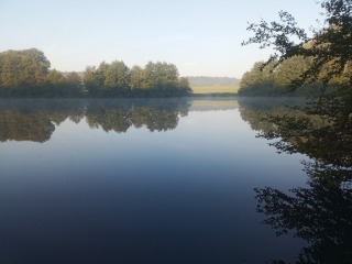 Foto ansehen IMG_20240923_082911 (1).jpg