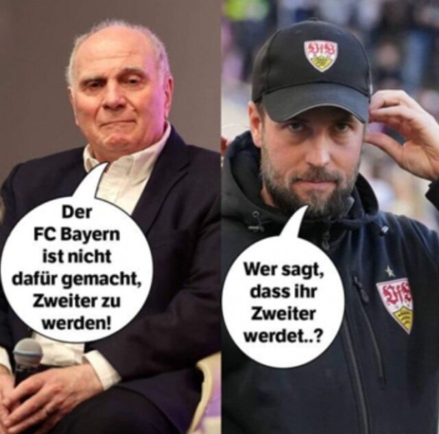 Bild/Foto