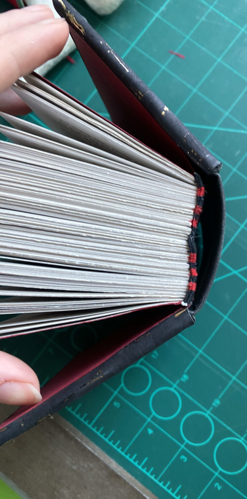 Finfin2.png Finfin2.png