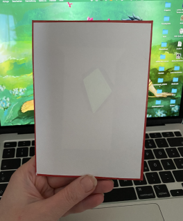 photo/4cf48e76-3d5d-4192-a04f-26988f440c12-3