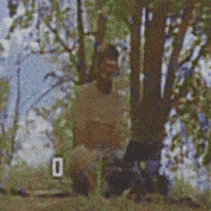 :neofox_multicam: