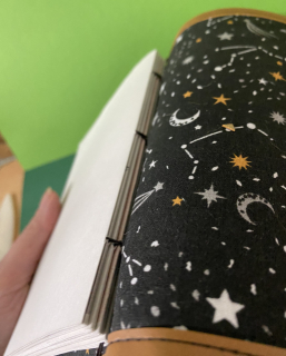 photo/556381a8-7a76-4037-8f77-5cde1304decb-3