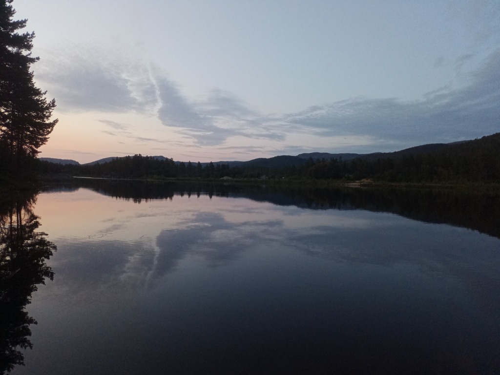 Bild/Foto