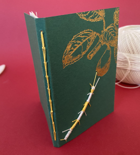 photo/5bdf750b-df36-4893-bc59-215e1958e592-3