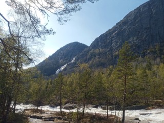 IMG_20240504_164610.jpg