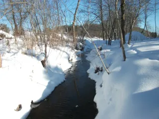 photo/5dc3da08-38b5-47a0-adb5-ed0ea28069dd-3