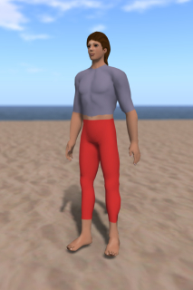 Roth, the OpenSim standard avatar switched to male