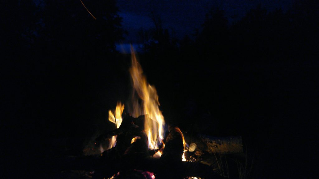 Bild/Foto