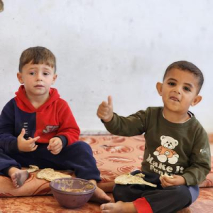 🇵🇸 Ali 🇵🇸