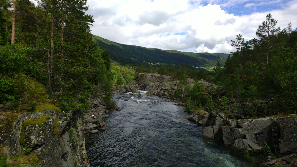 Bild/Foto