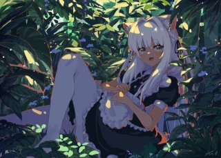 photo/64ccc031-59d5-40fe-8aec-f9ed2e412195-3