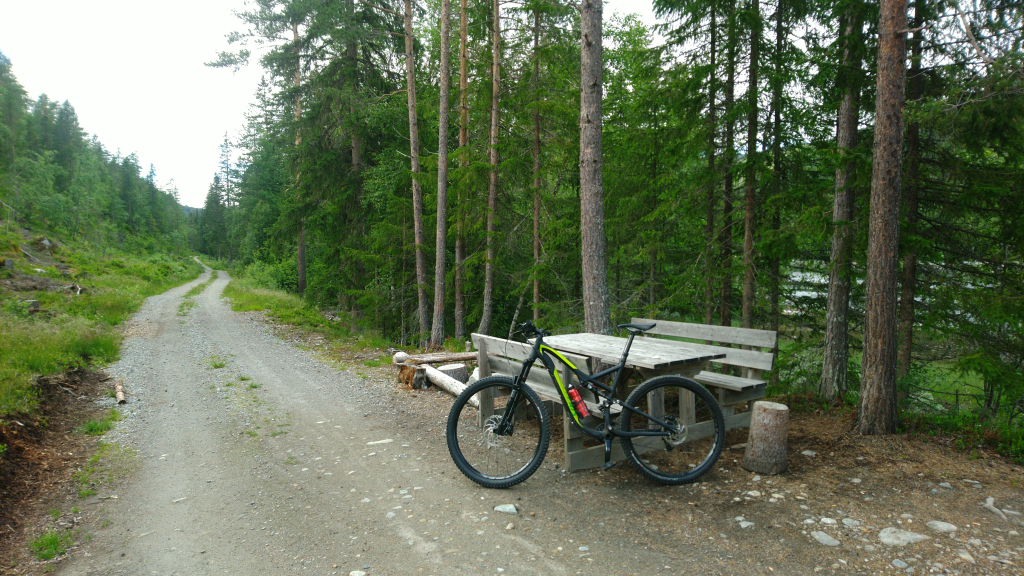 Bild/Foto