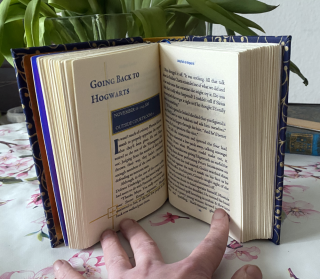 photo/6a5ba815-3b92-4aee-a866-9e6c307995b4-3