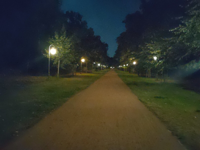 nächtliches foto der großen sternallee im berliner tiergarten. ein weg in einem park, flankiert von rasenflächen auf denen leuchtende straßenlaternen stehen entlang des weges. eingefasst ist das ensemble durch schatten von bäumen, die mittig einen nächtlichen himmel frei lassen. der weg zieht sich vom unteren bildrand gerade bis in die mitte des bildes, wo er im dunklen verschwindet.