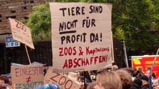 Schild Nicht für Profit.jpg