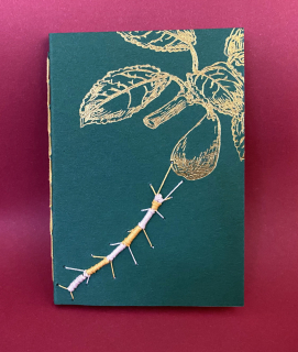 photo/70e29ddc-7f9a-4d8b-8c98-a6d4b3e83c2c-3