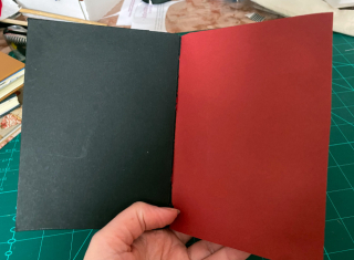 photo/713dc001-582a-4b9c-8f6e-0568c1947742-3