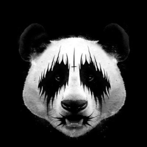 Björn 🎄 Starkimarm