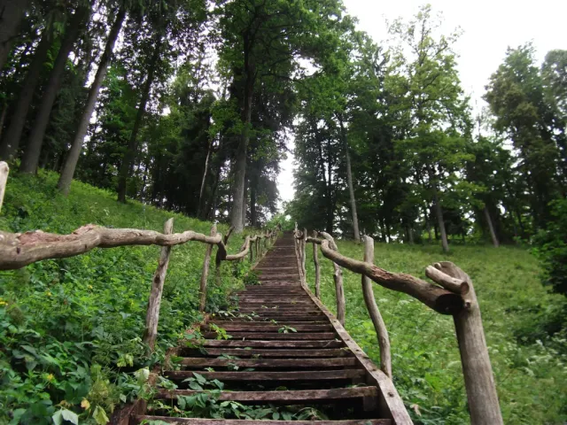 DSCF3968.webp